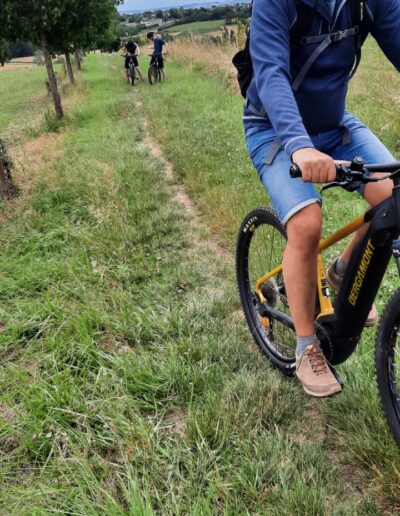 mountainbiking through the beautiful fields